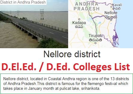 DELED-ded-Colleges-in-Nellore-District